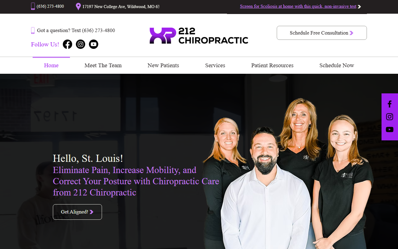 212chiropractic.com screenshot