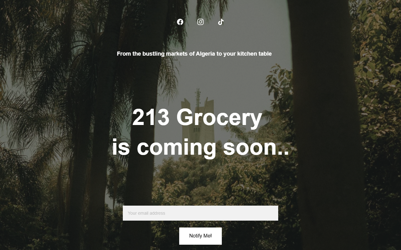213grocery.com screenshot