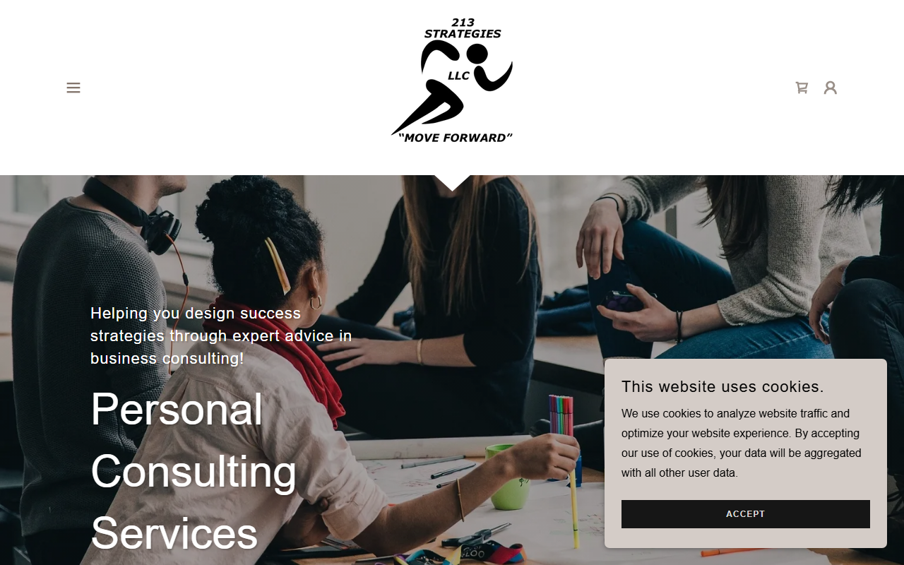 213strategies.com screenshot