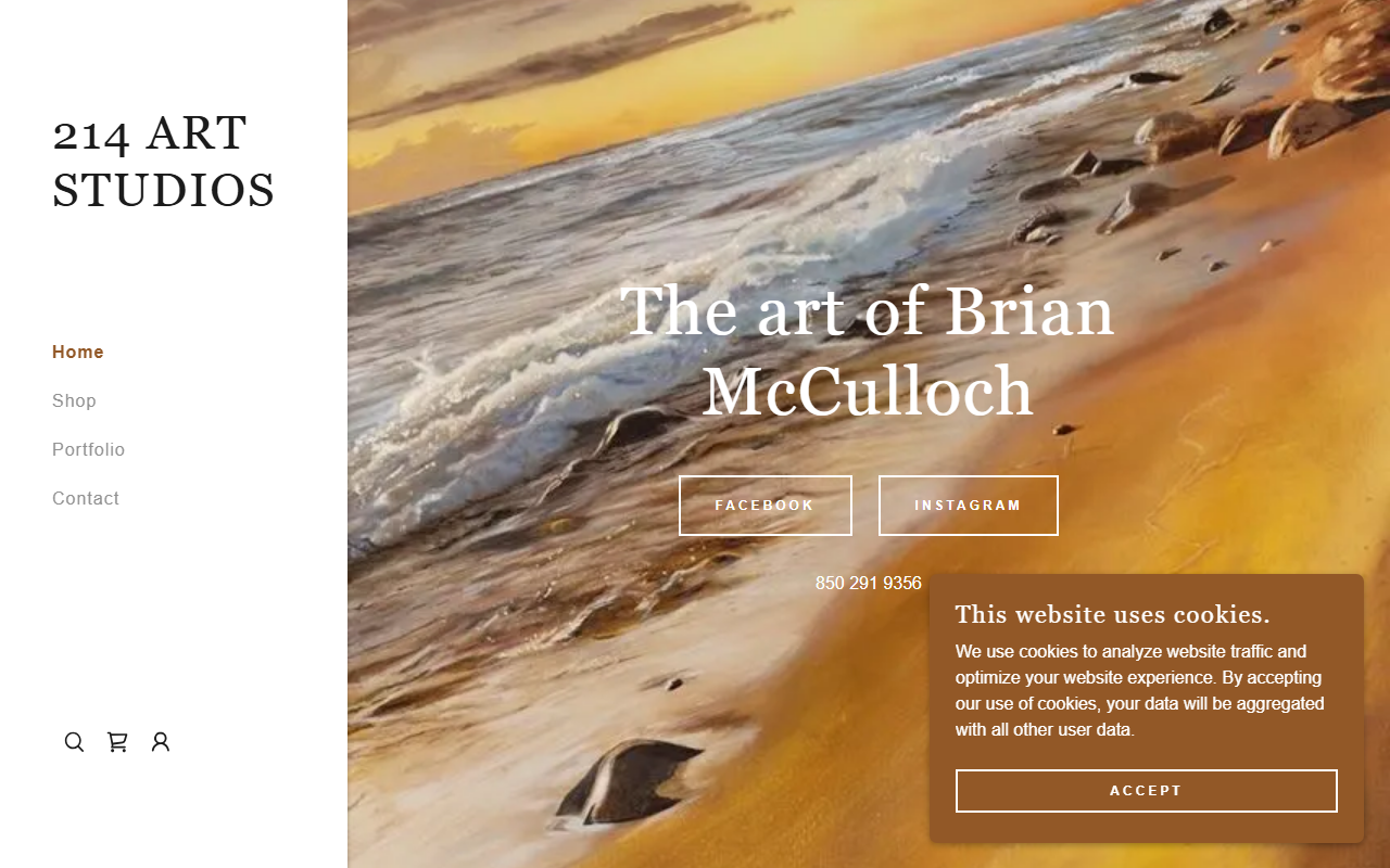 214artstudios.com screenshot