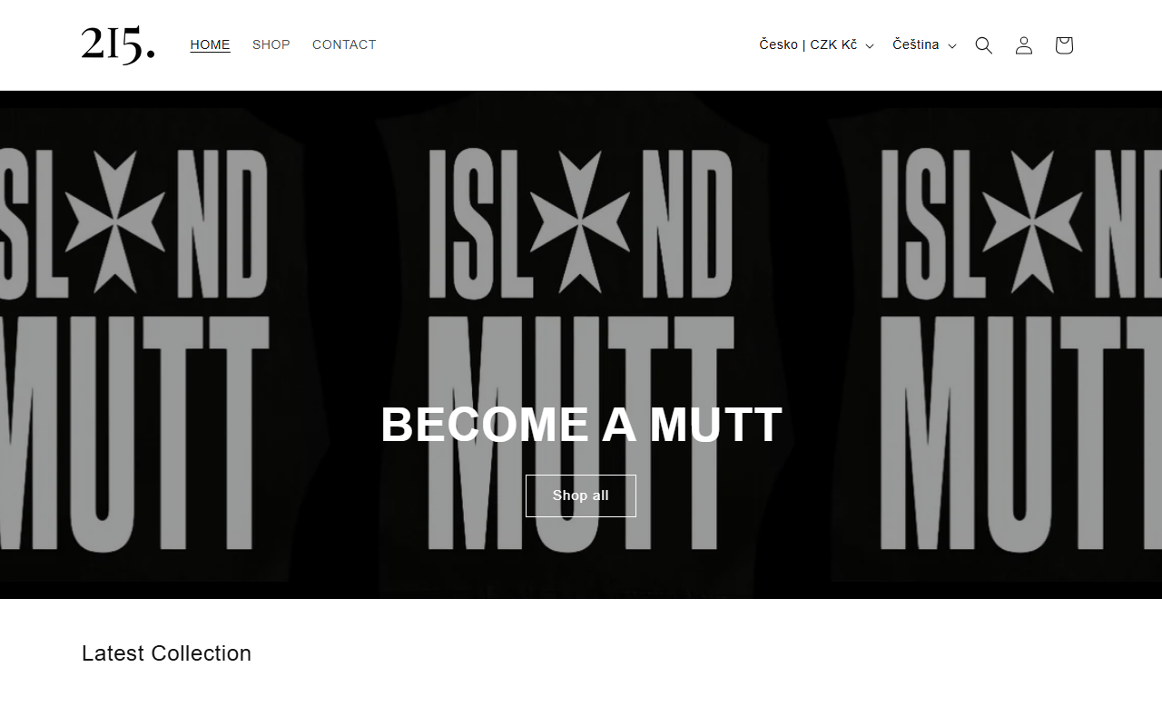 215collective.com screenshot