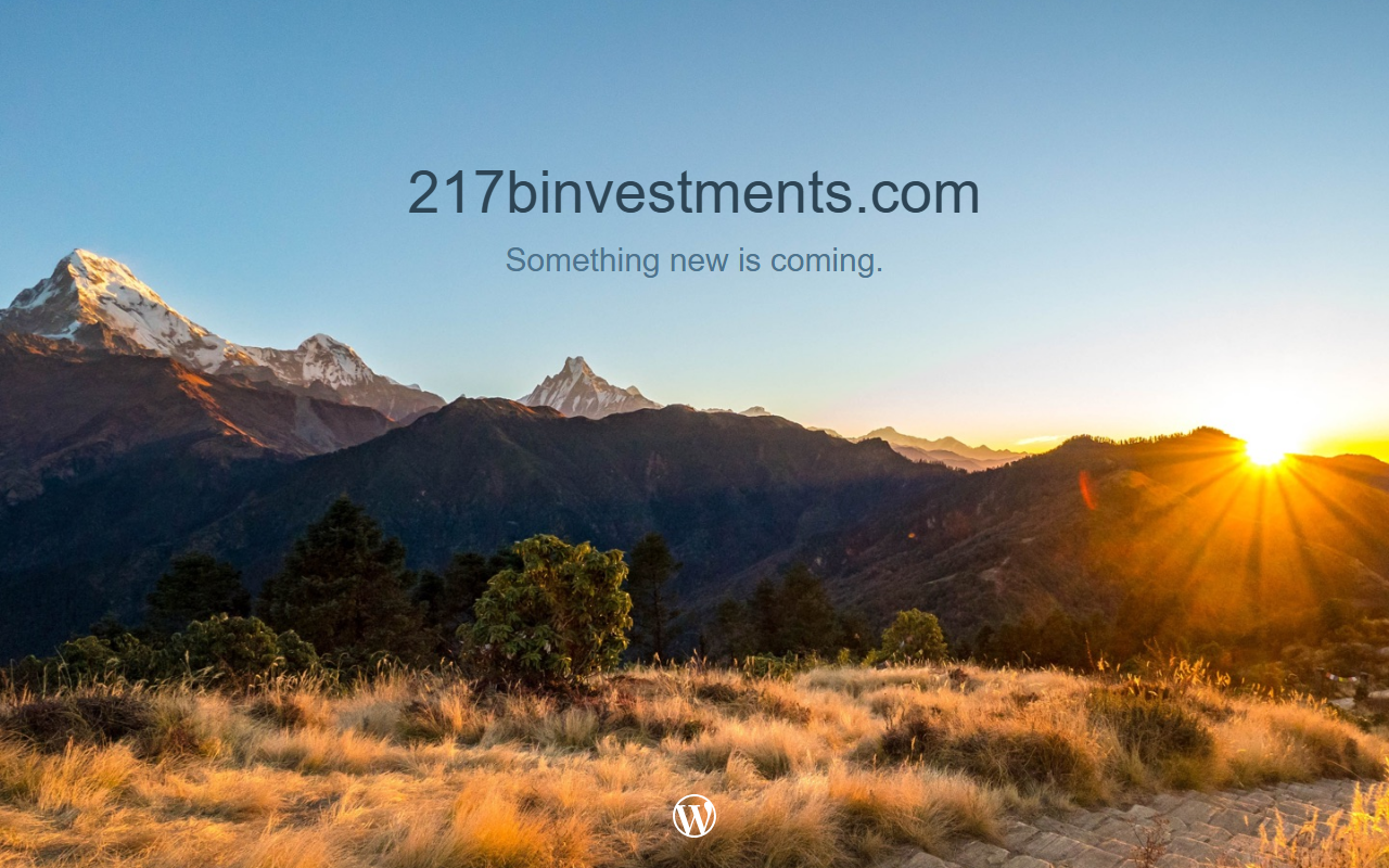 217binvestments.com screenshot