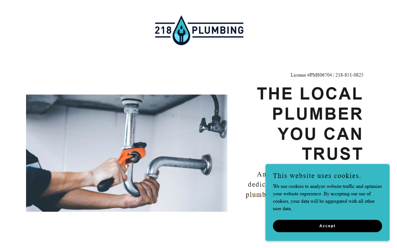 218plumbing.com screenshot