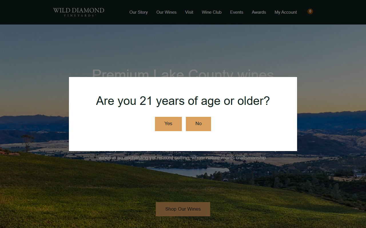 220vinyards.com screenshot