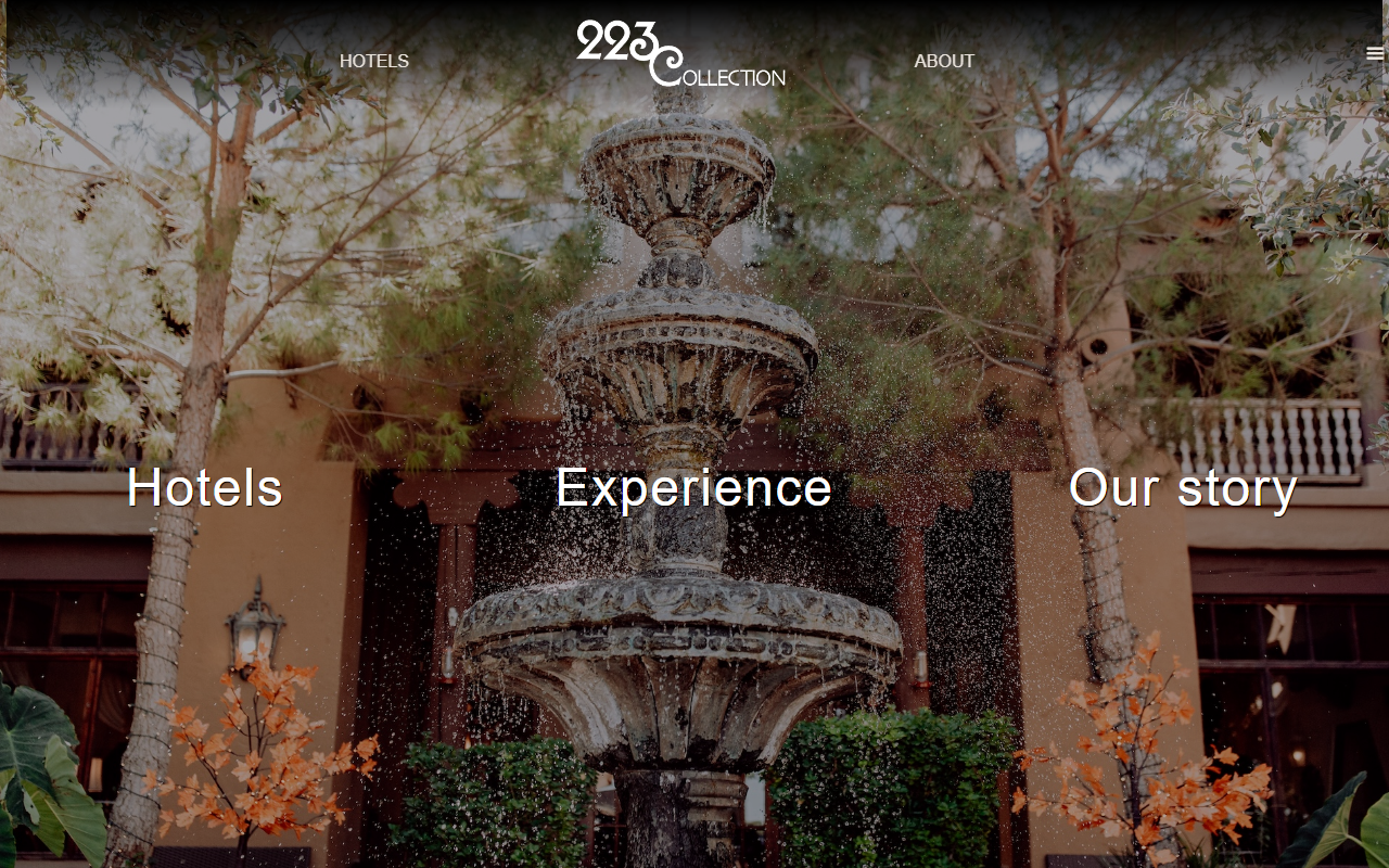223-collection.com screenshot