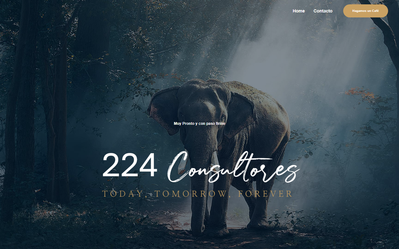 224consultores.com screenshot