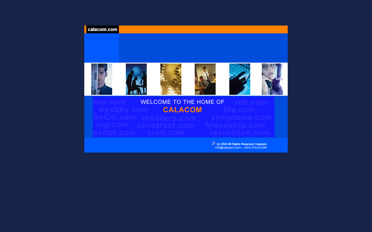 225domains.com screenshot