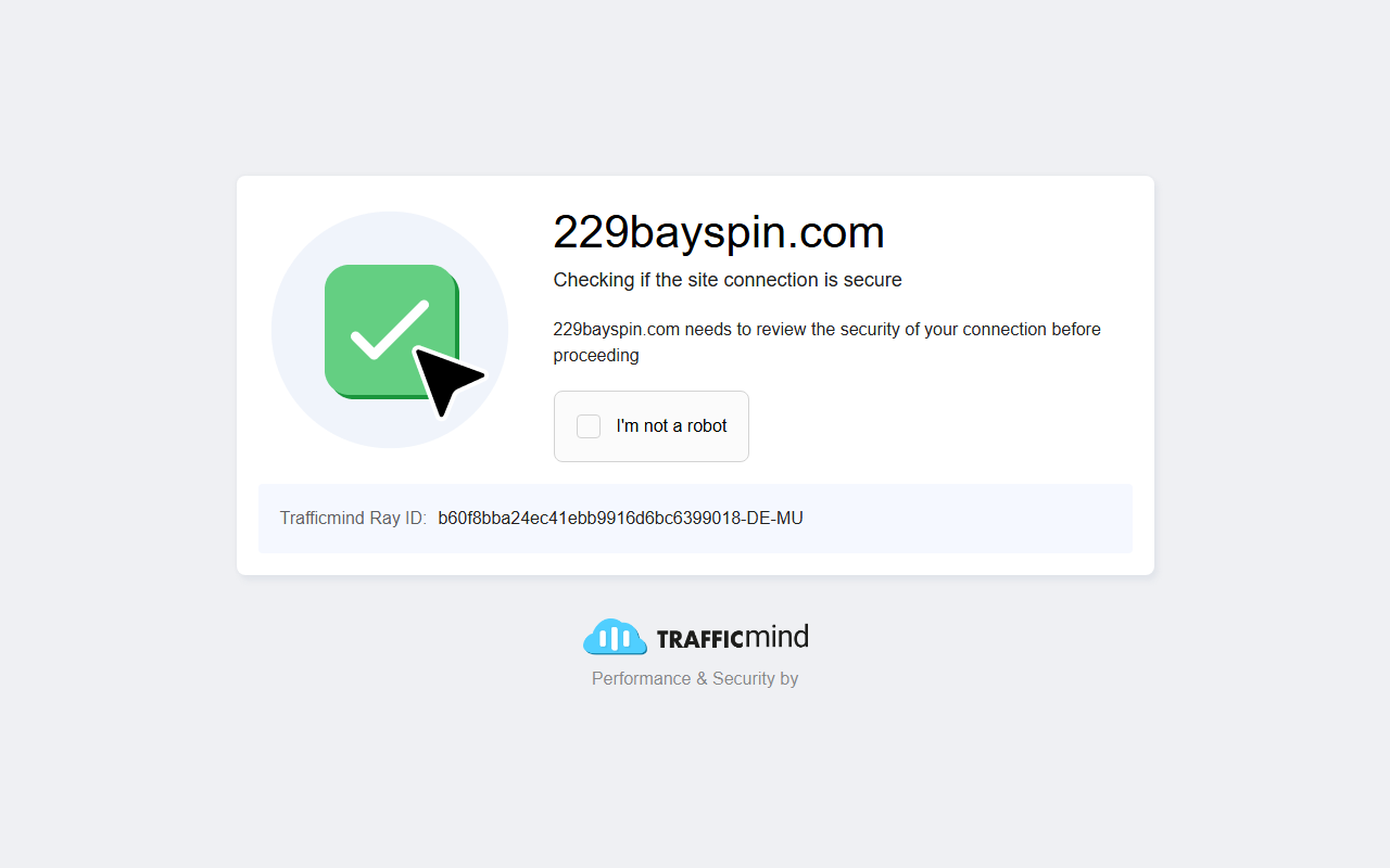 229bayspin.com screenshot