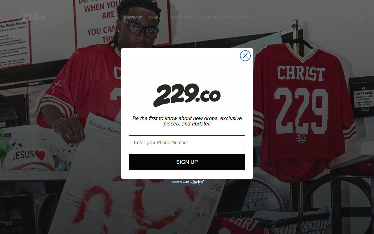 229collective.com screenshot
