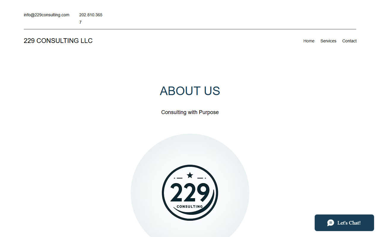 229consulting.com screenshot