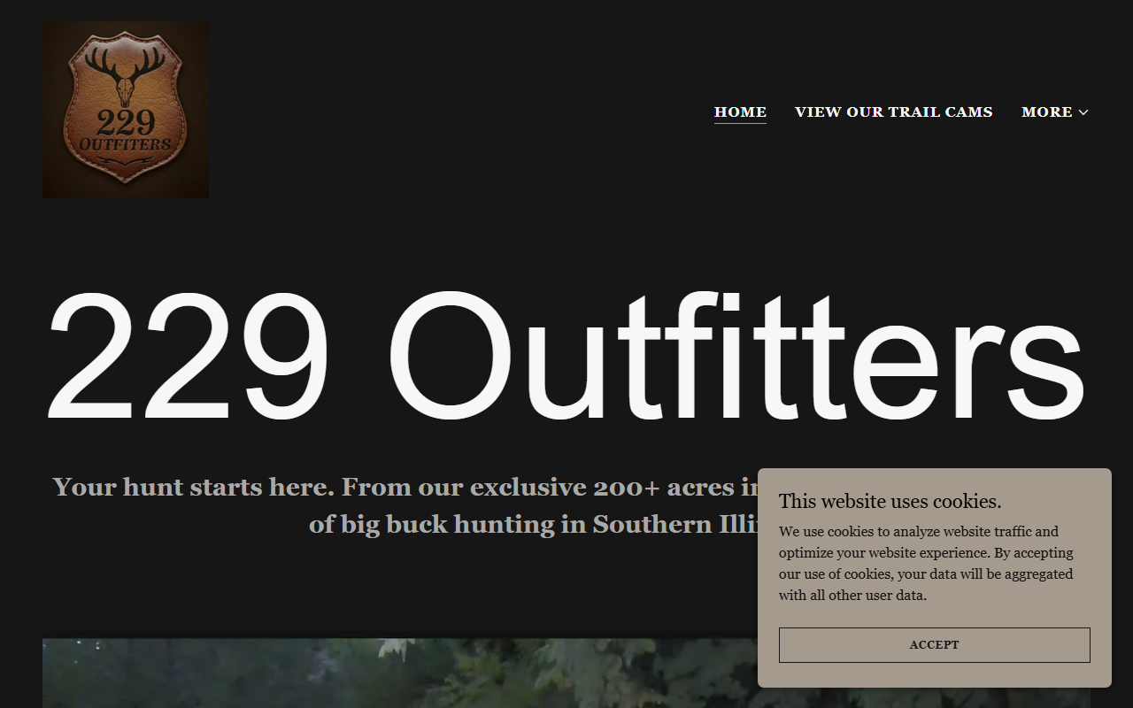 229outfitters.com screenshot