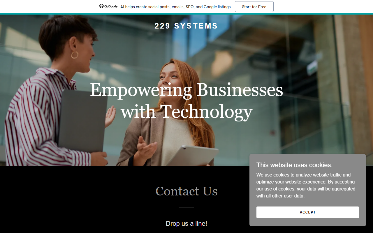 229systems.com screenshot