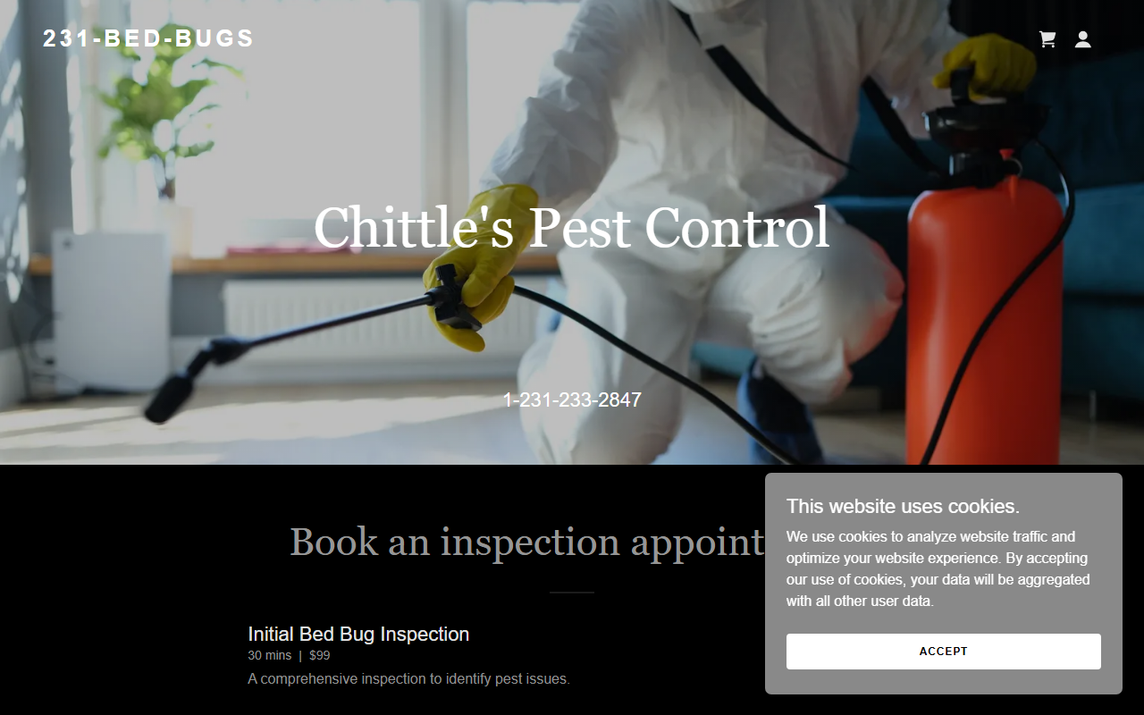 231bedbugs.com screenshot