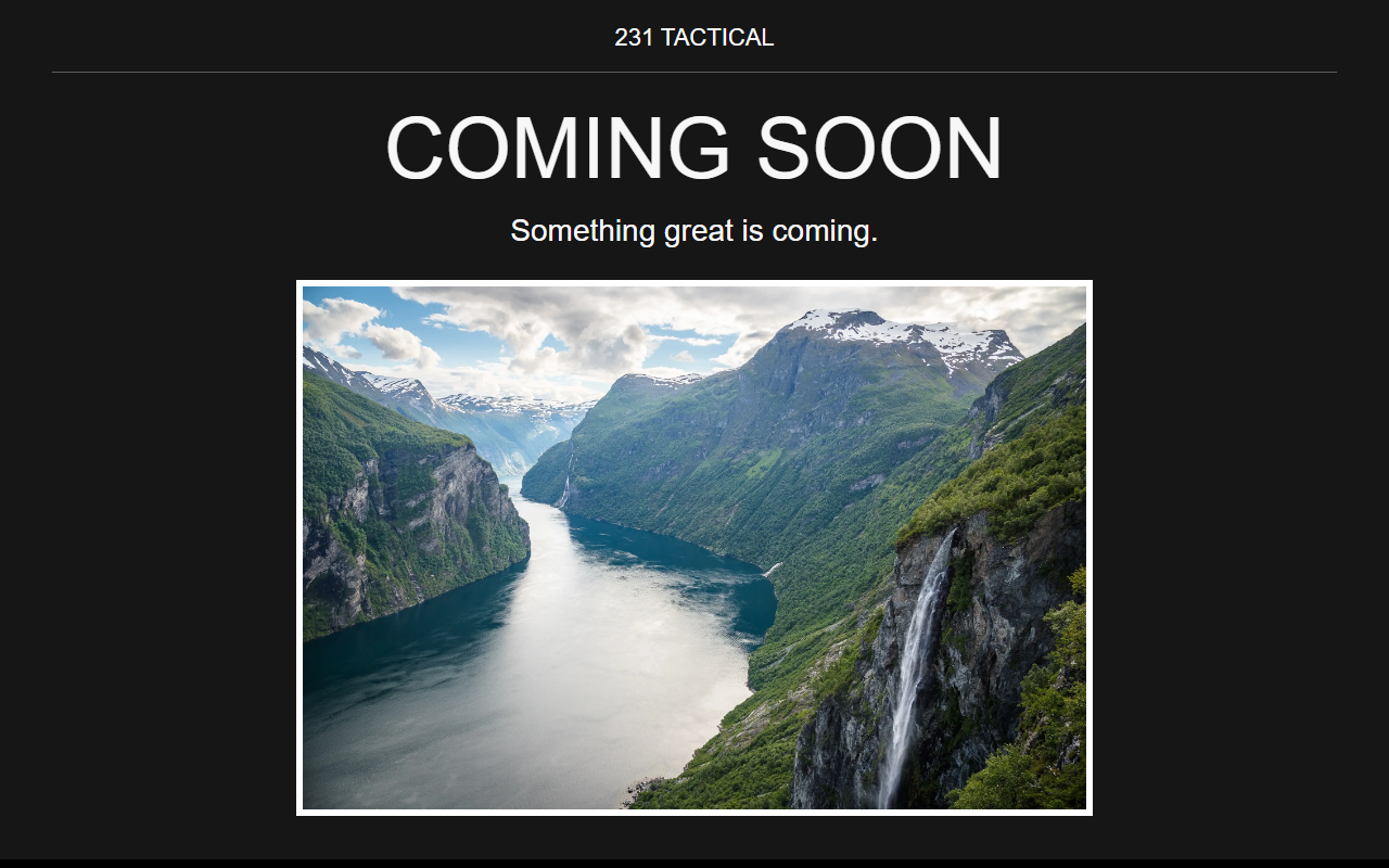 231tactical.com screenshot