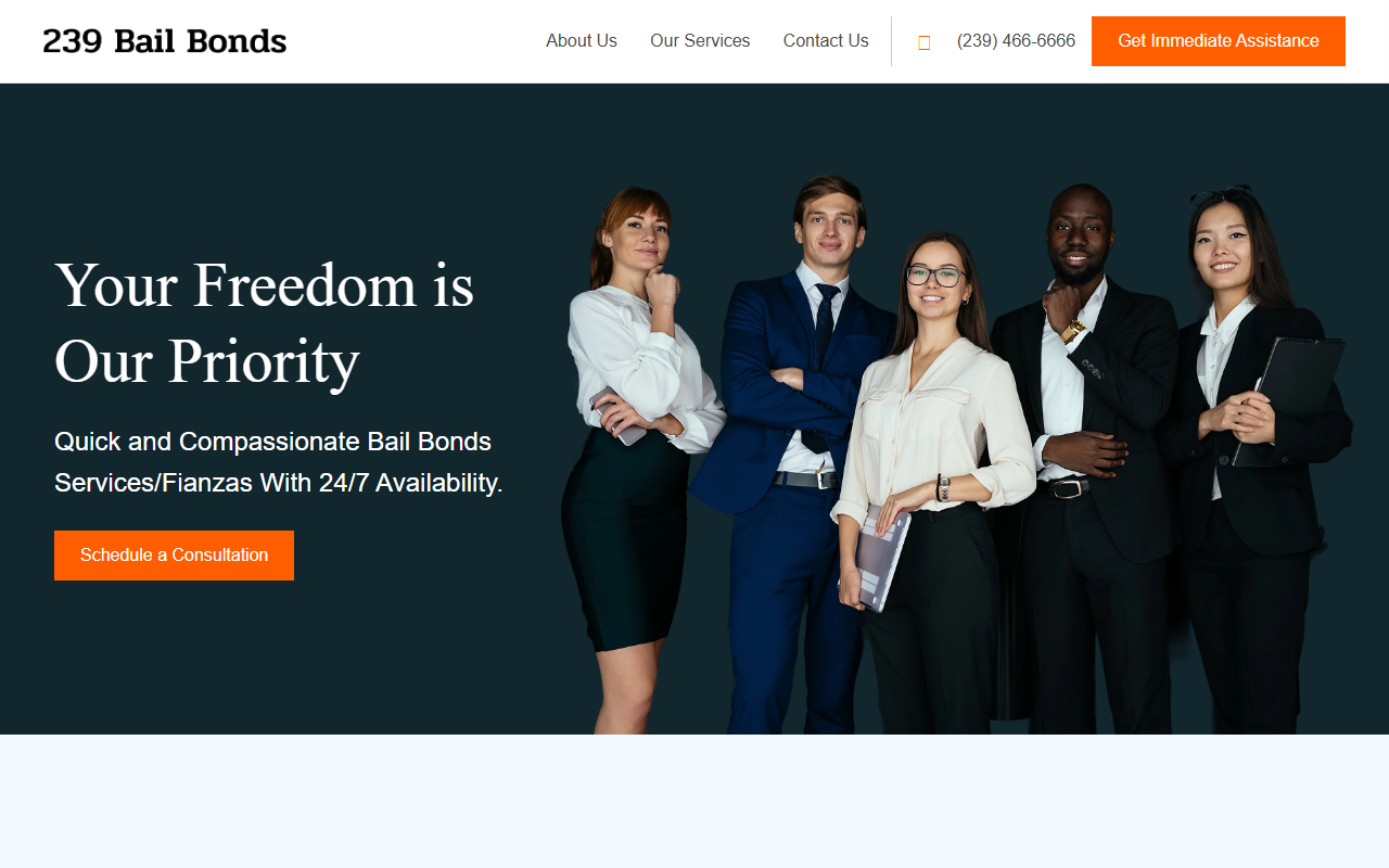 239bailbonds.com screenshot