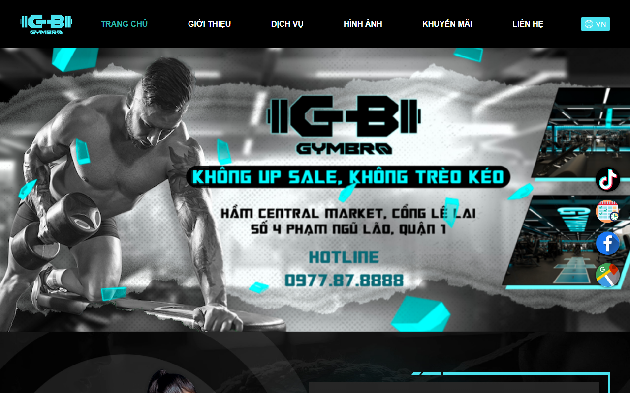 239billiards.com screenshot