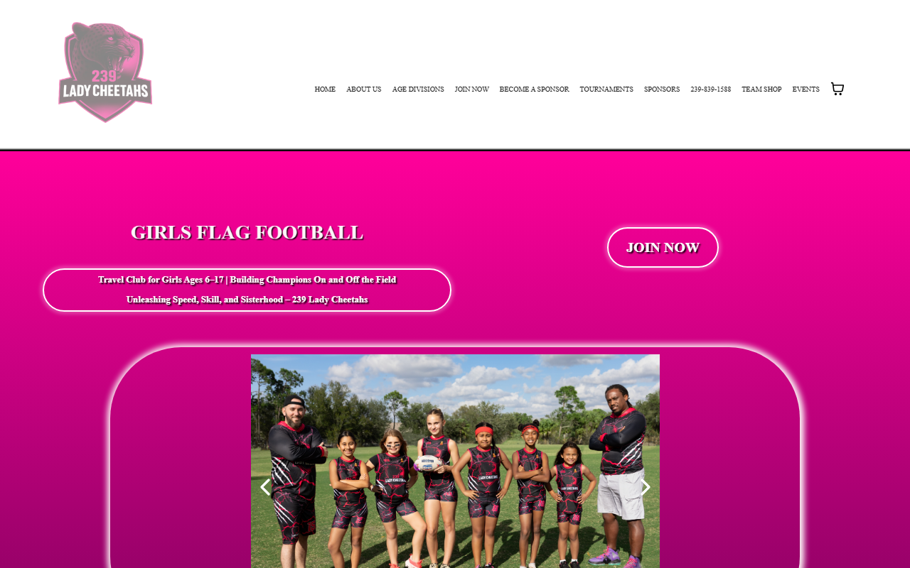 239cheetahs.com screenshot