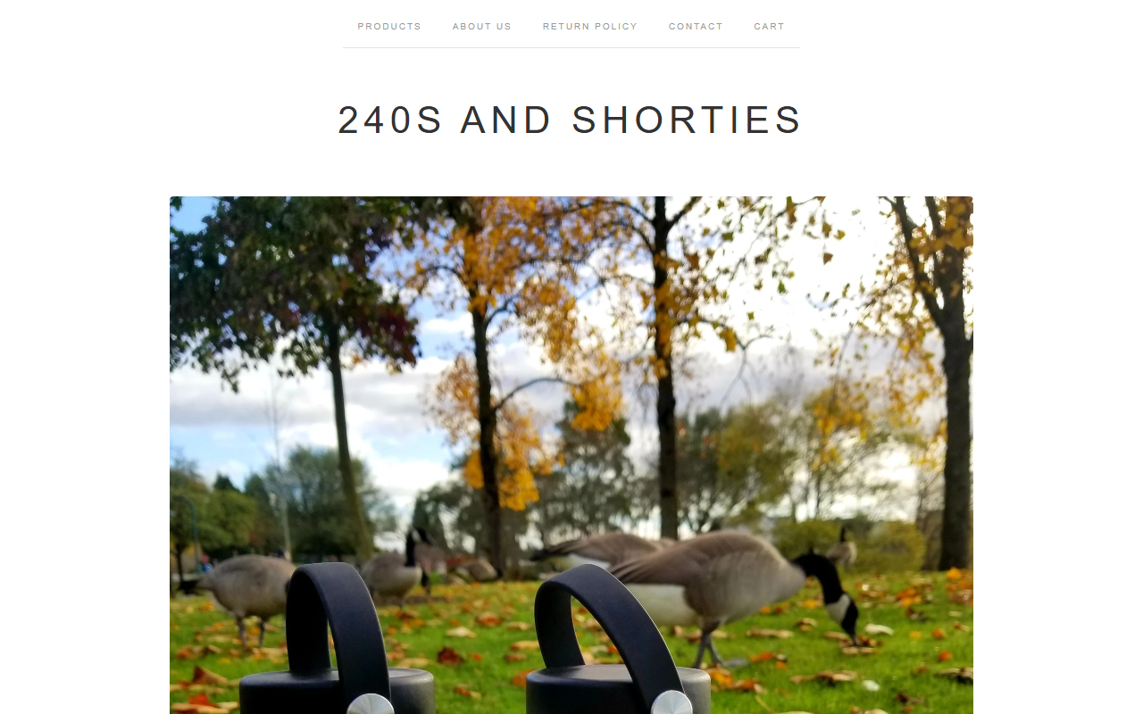 240sandshorties.com screenshot