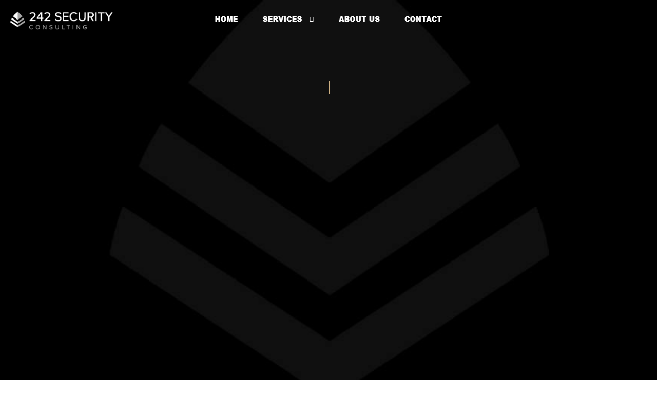 242security.com screenshot