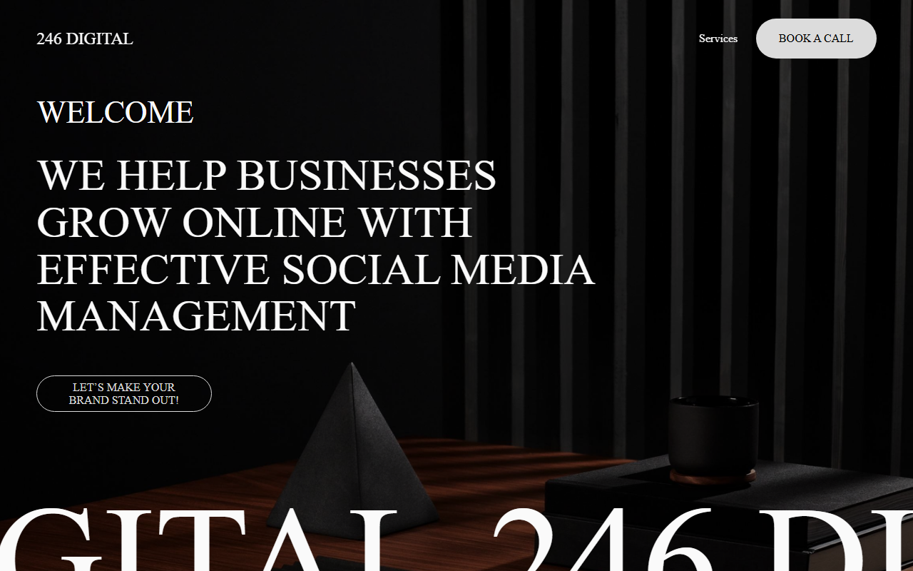 246digital.com screenshot