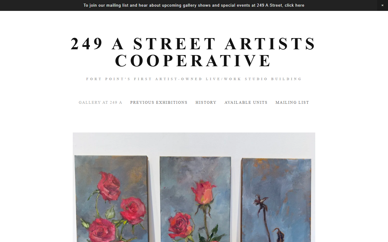 249astreetcoop.com screenshot