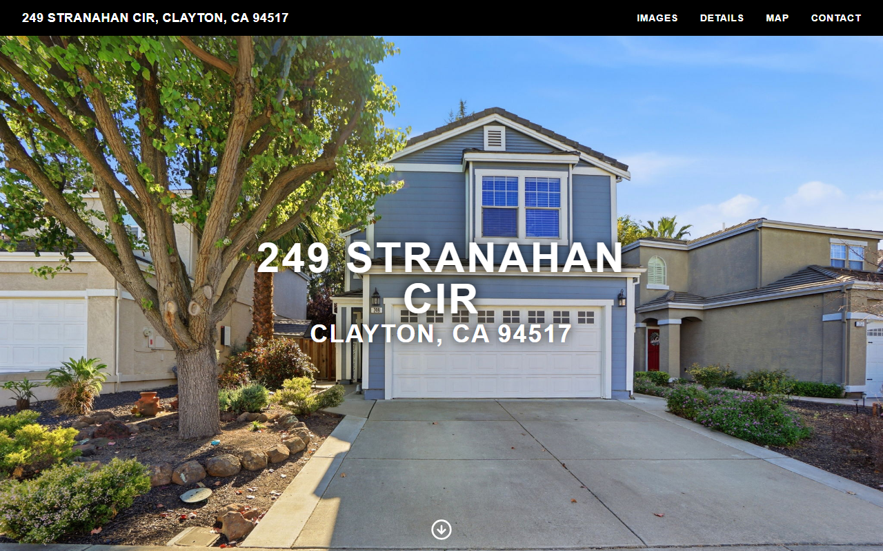 249stranahan.com screenshot