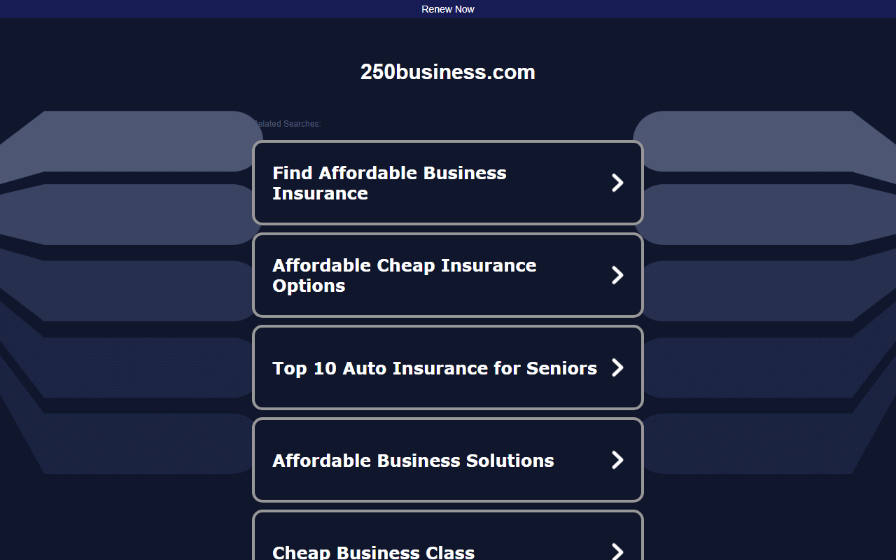 250business.com screenshot