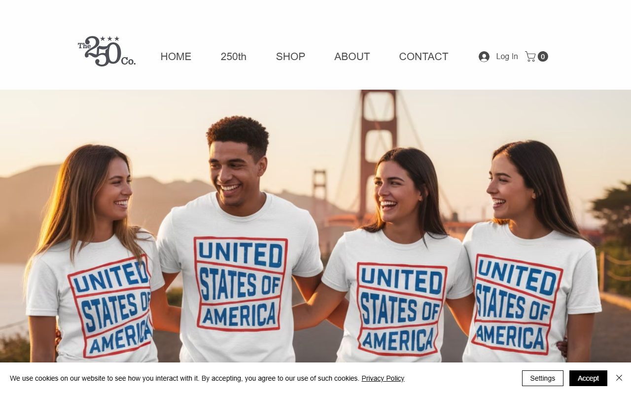 250company.com screenshot