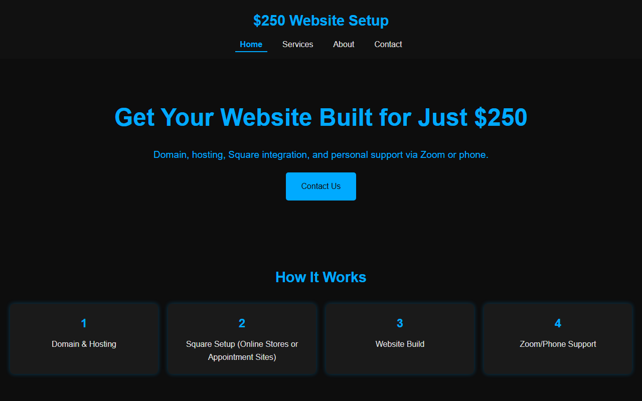 250dollarsite.com screenshot