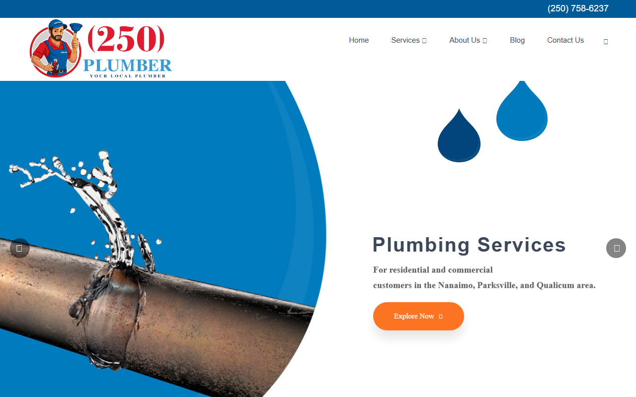 250plumber.com screenshot