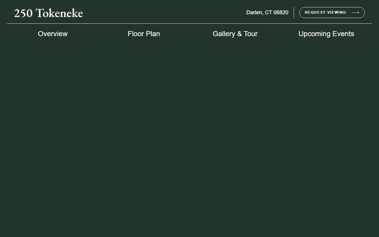 250tokeneke.com screenshot
