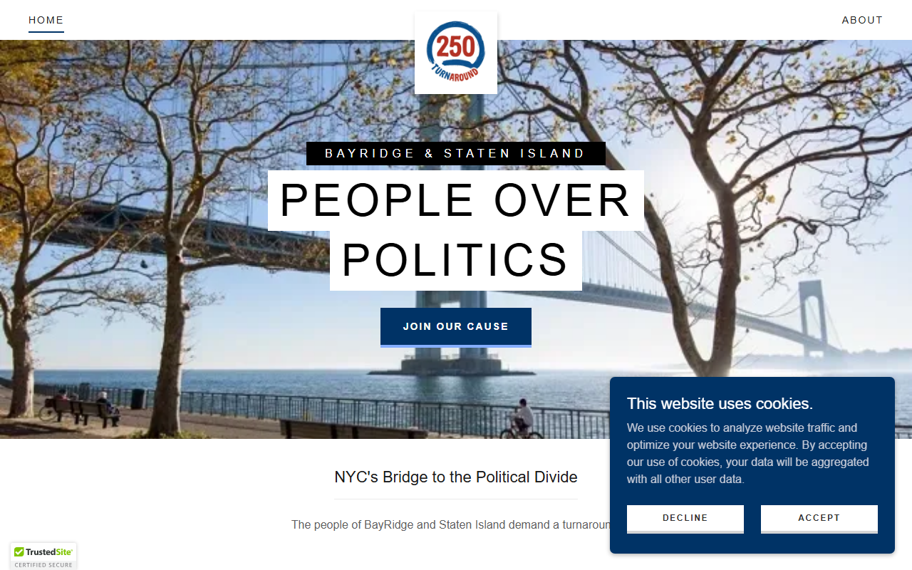 250turnaround.com screenshot