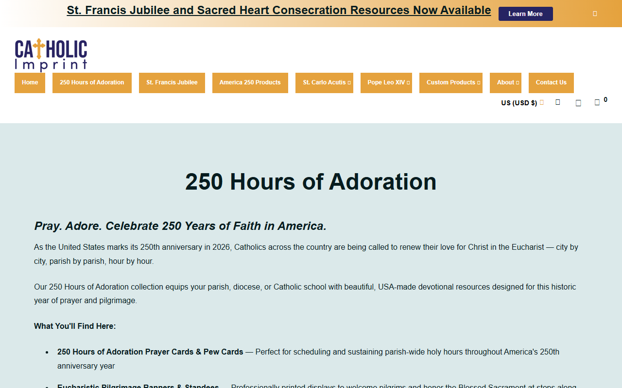 250worksofmercy.com screenshot