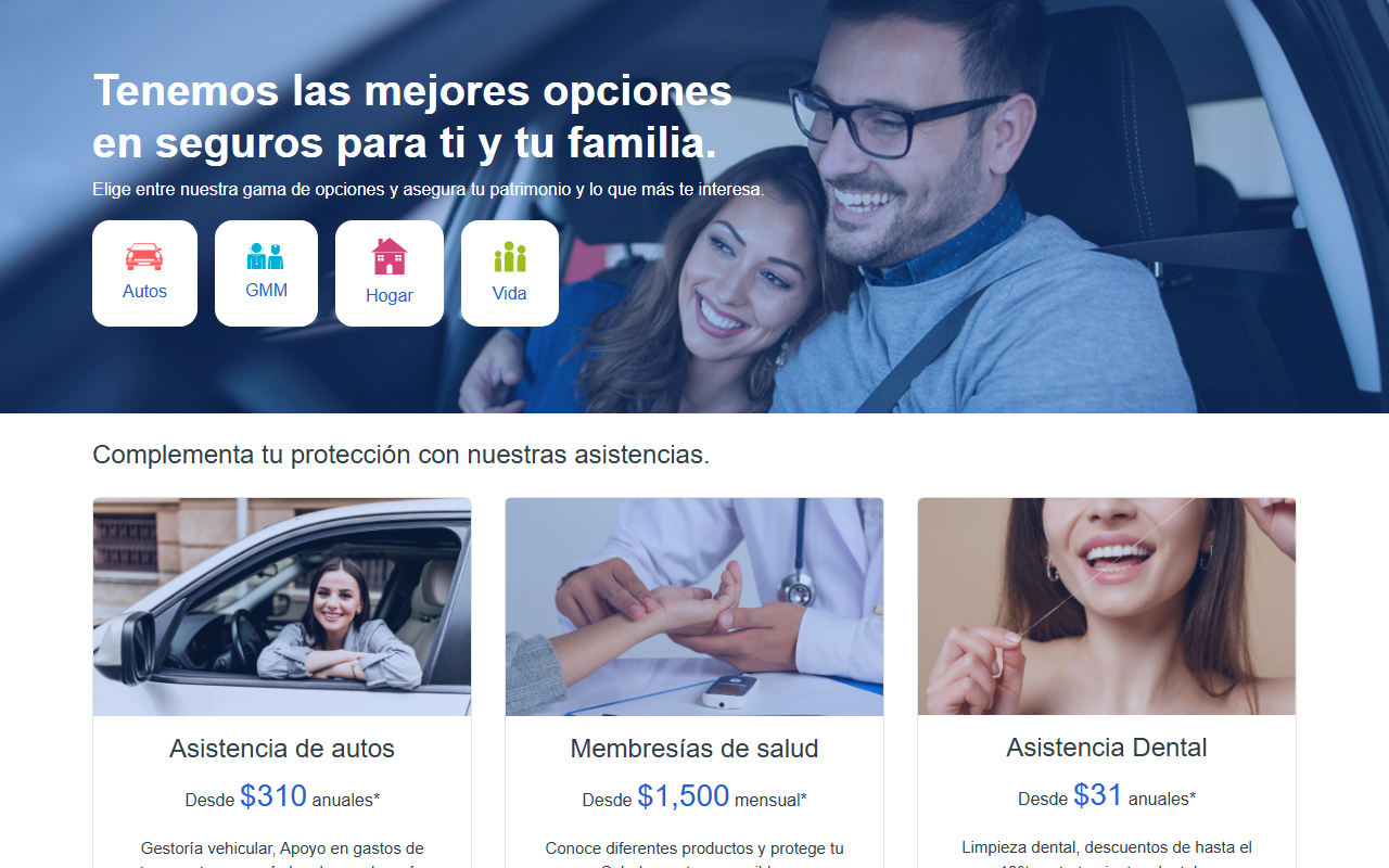 2519seguros.com screenshot