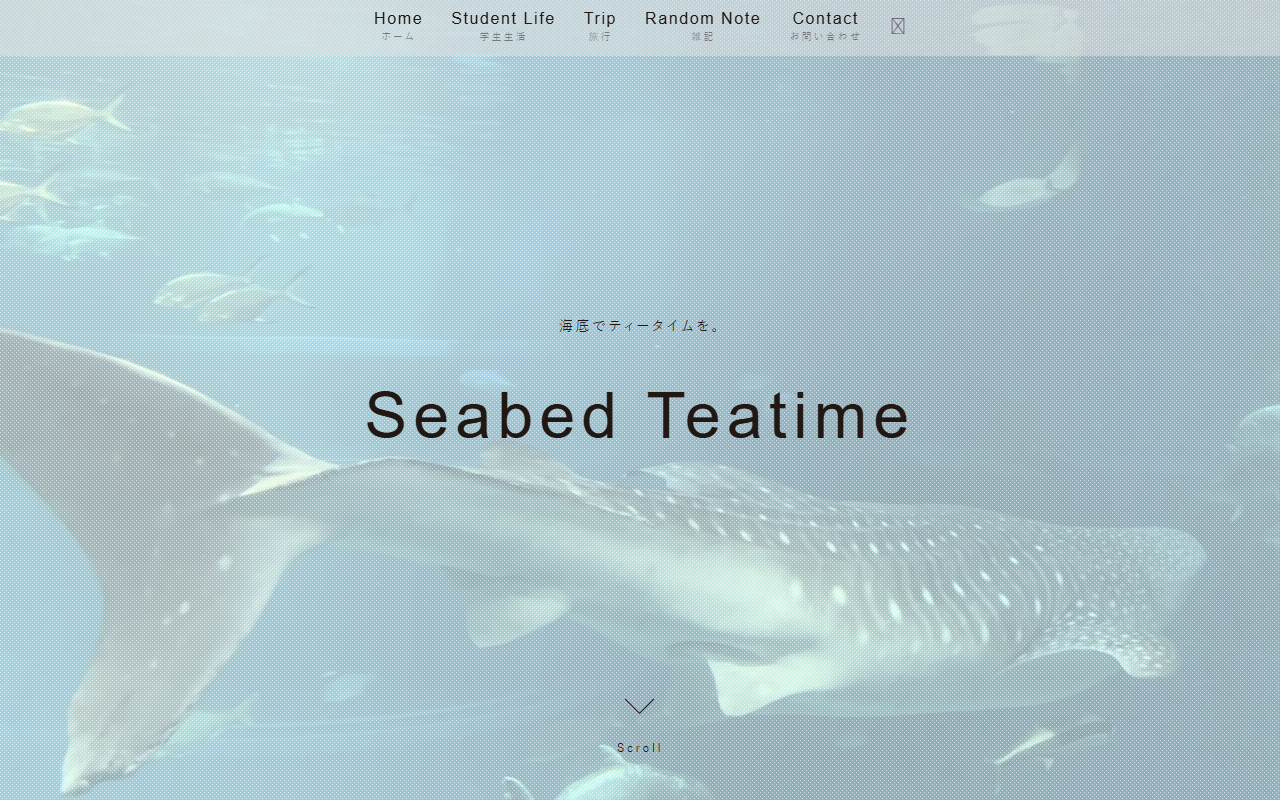 2525whaleshark.com screenshot