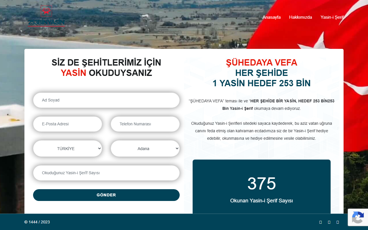 253binyasin.com screenshot