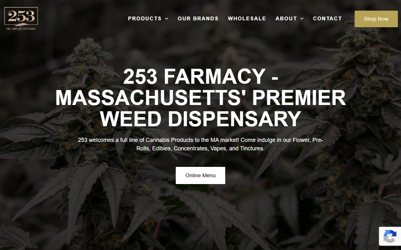 253cannabis.com screenshot