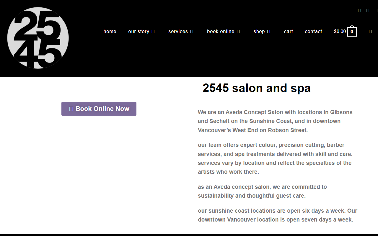 2545salonandspa.com screenshot