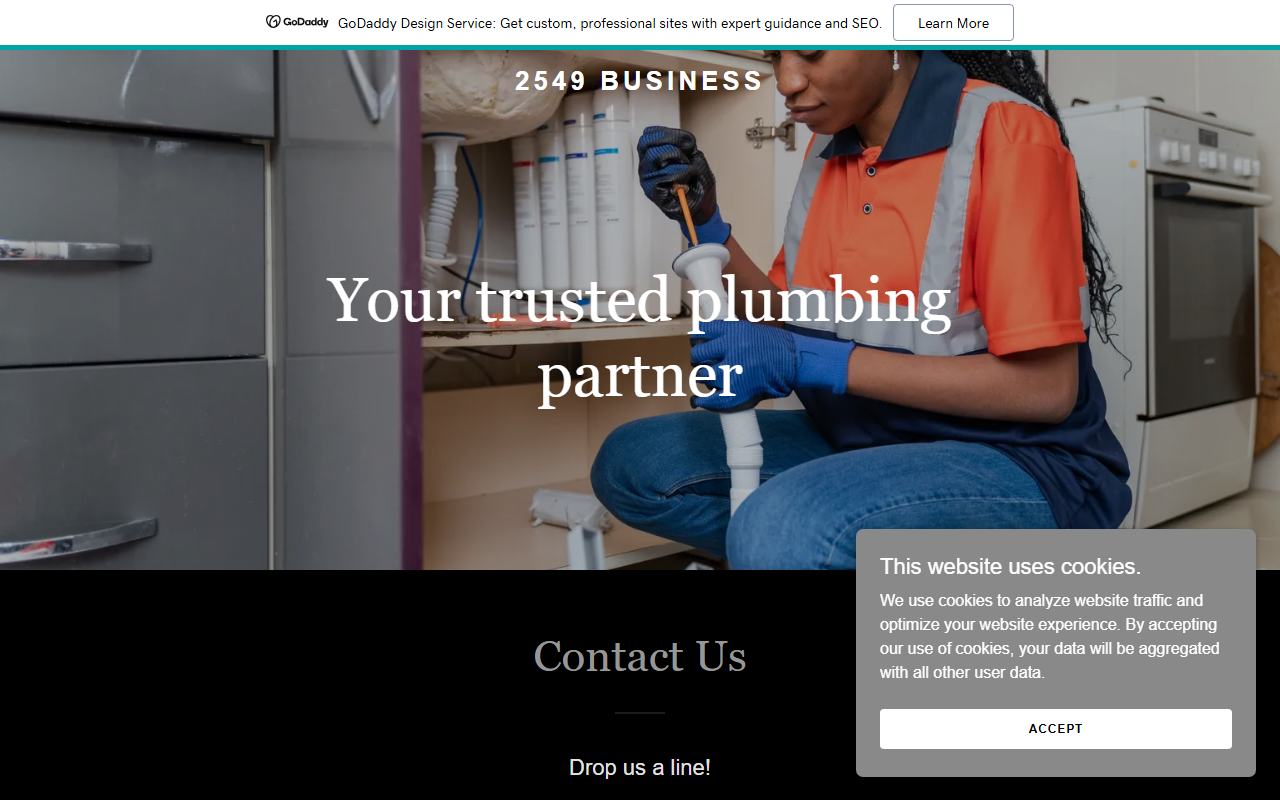 2549business.com screenshot