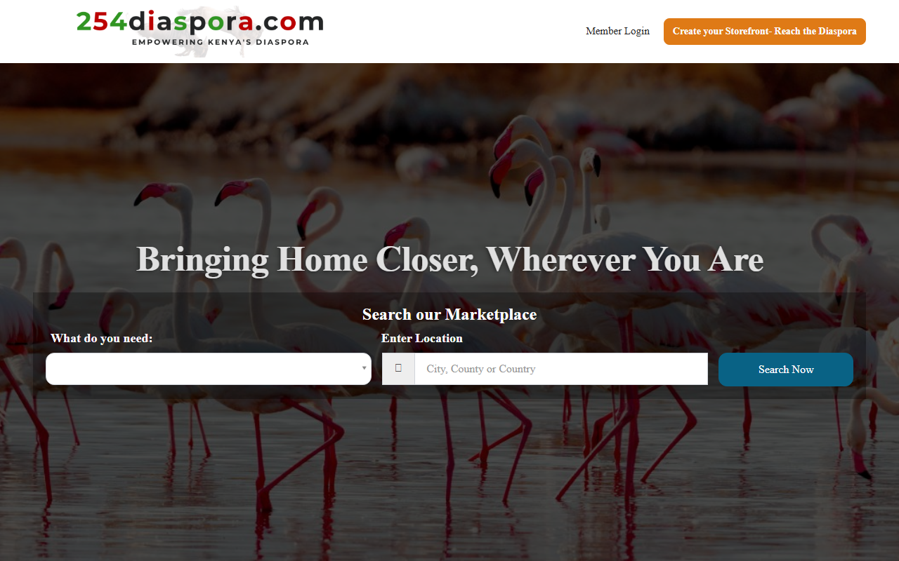 254diaspora.com screenshot