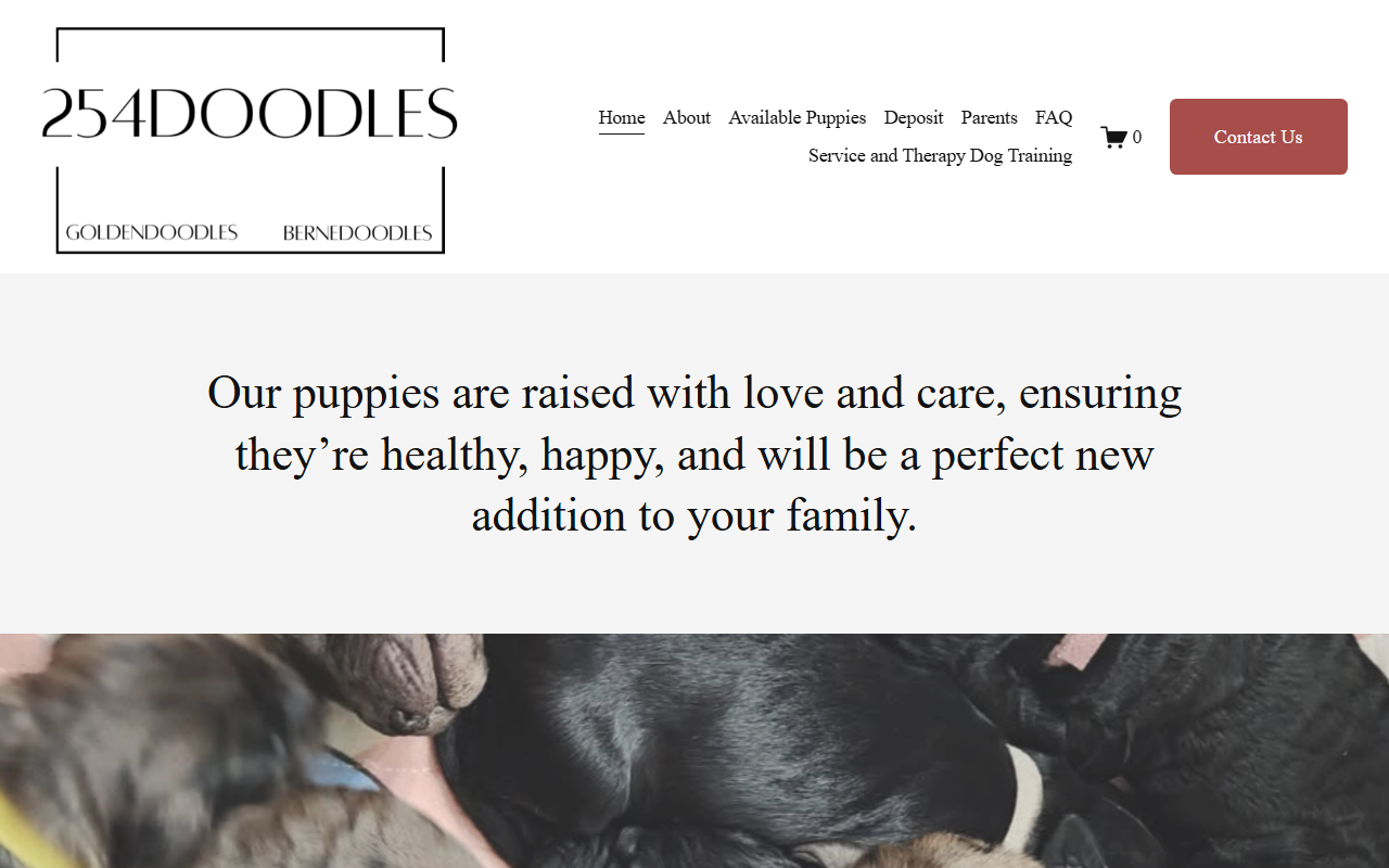 254doodles.com screenshot
