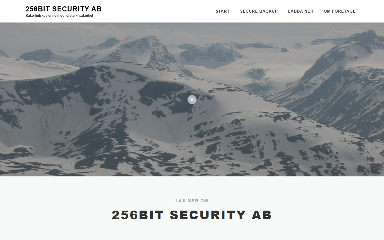 256bit-security.com screenshot