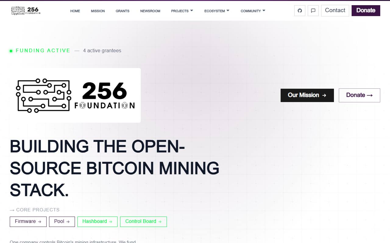 256foundation.com screenshot