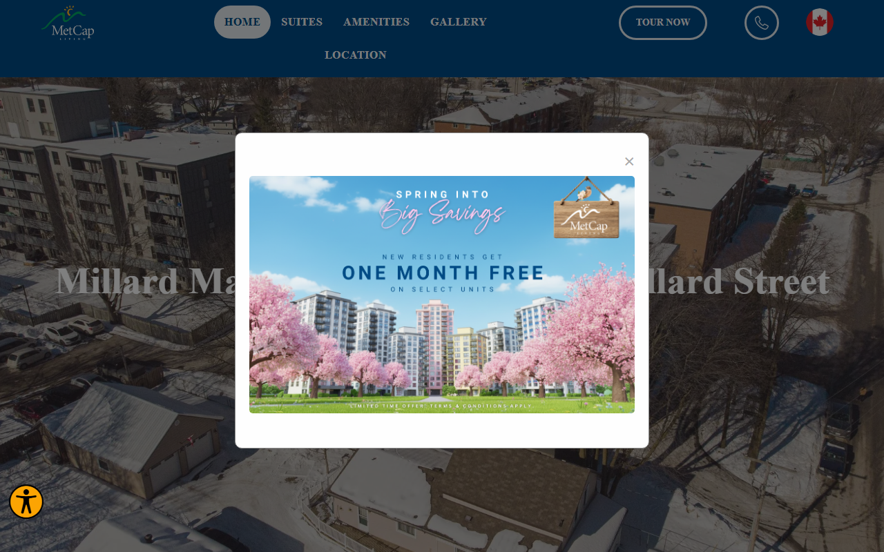 263millardstreet.com screenshot