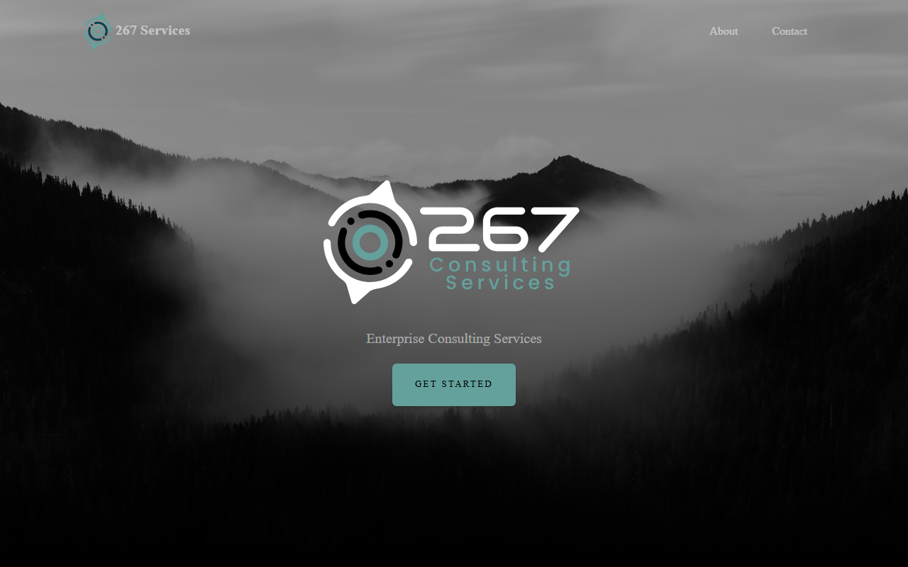 267services.com screenshot