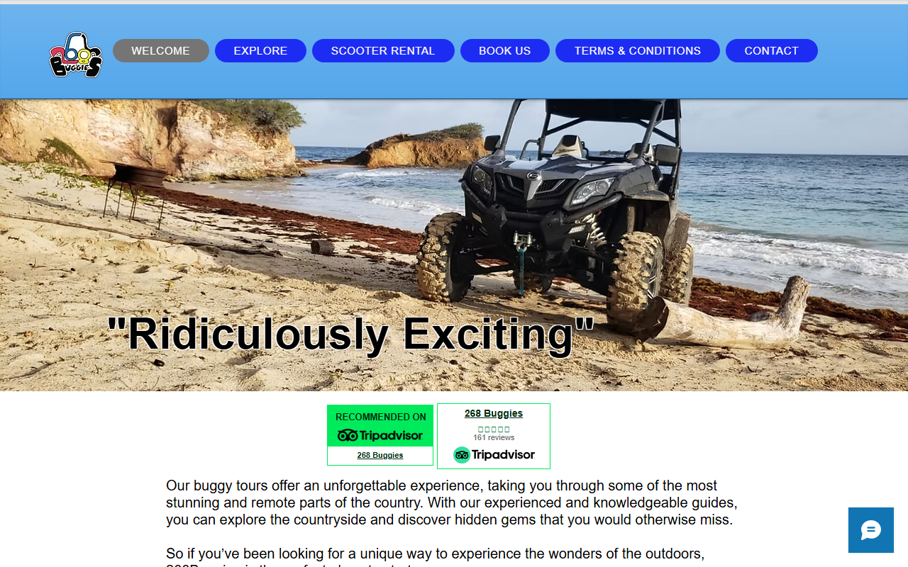 268buggies.com screenshot