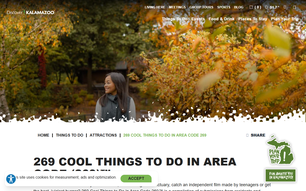 269coolthings.com screenshot