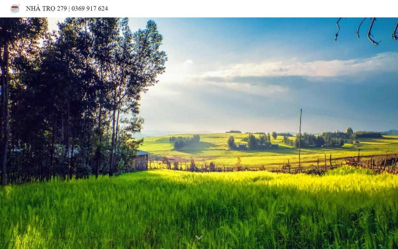 279hongngu.com screenshot