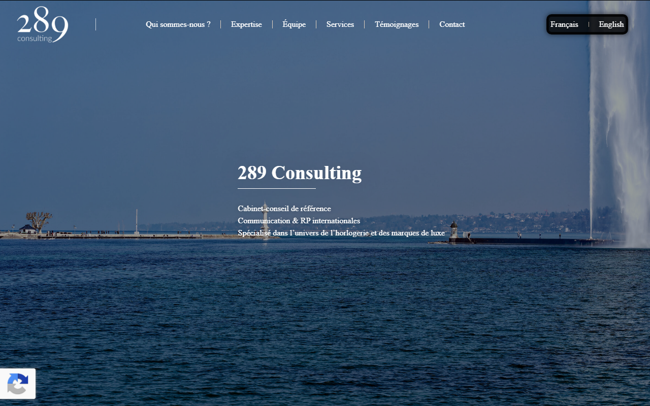 289consulting.com screenshot