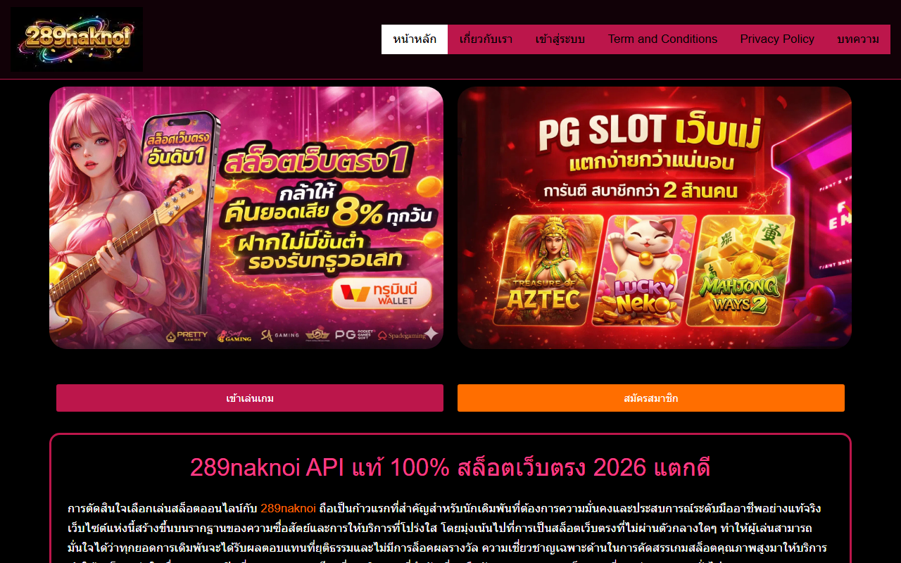 289naknoislot.com screenshot